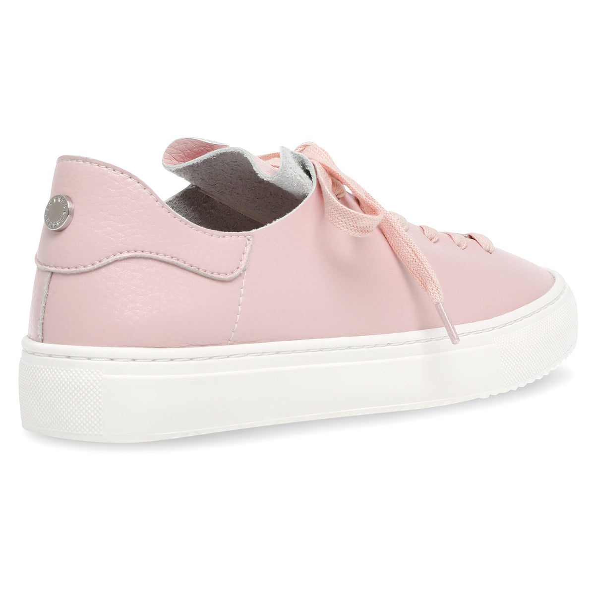 Dorey-Sm Pink - Scarpe Stringate Profilo Basso Donna Rosa SMPDOREY-SM-PIN . STEVE MADDEN 