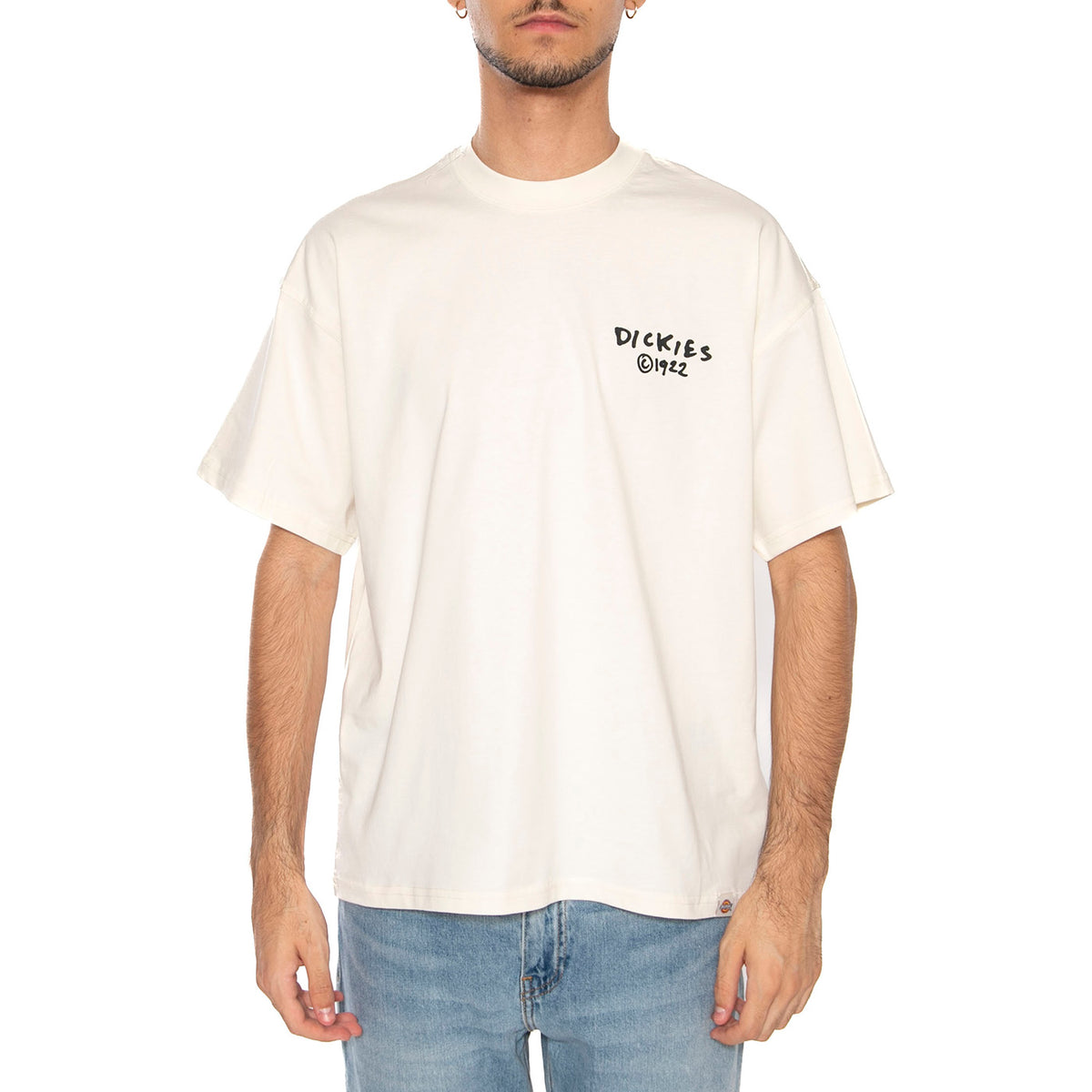 Sneedville Tee SS Egret - Maglietta Girocollo Uomo Beige DK0A87QOC481 . DICKIES 