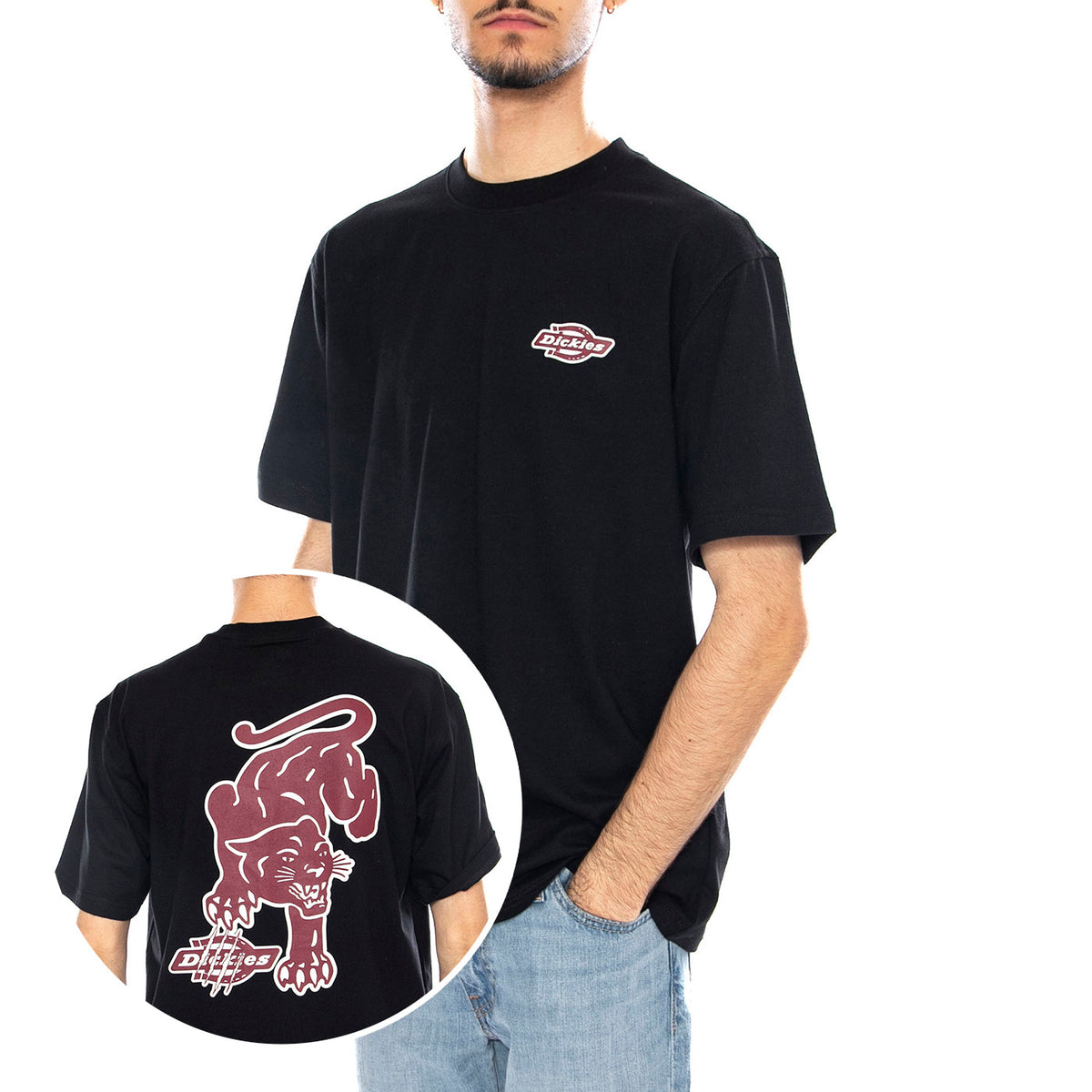 Graysville Tee SS -- Maglietta Uomo Nera DK0A87QQBLK1 . DICKIES 