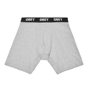 Established Work 2 Pack Boxers Ash Grey - Set da Due Boxer Grigi 100090000 AGRY OBEY 