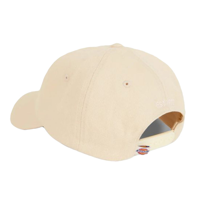 HARDWICK WhiteCap Grey - Cappellino con Visiera Bianco DK0A4T KVF901 DICKIES 