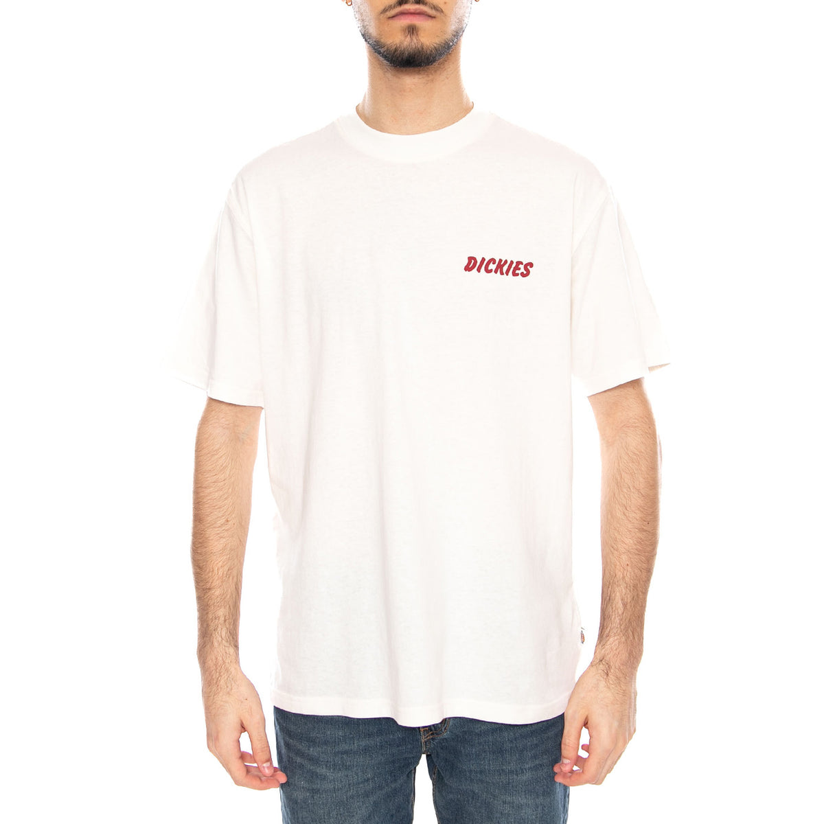 Dry Ridge SS Tee White - Maglietta Girocollo Uomo Bianca DK0A8853 C481 DICKIES 