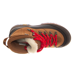 W Brecken Lace Chestnut - Scarpe Donna Marroni UGSBRLCCHE1158221W . UGG 