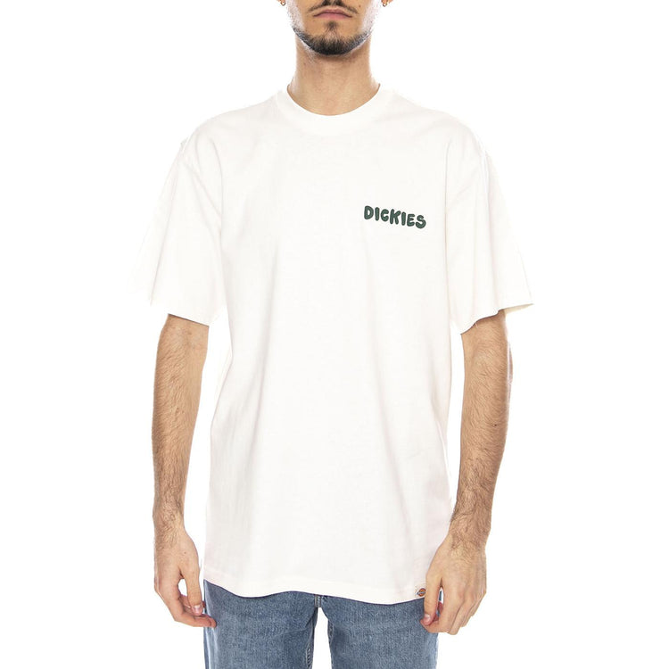 Gordonsville Tee Ss Egret -- Maglietta Girocollo Uomo Bianca DK0A87QUC481 . DICKIES 