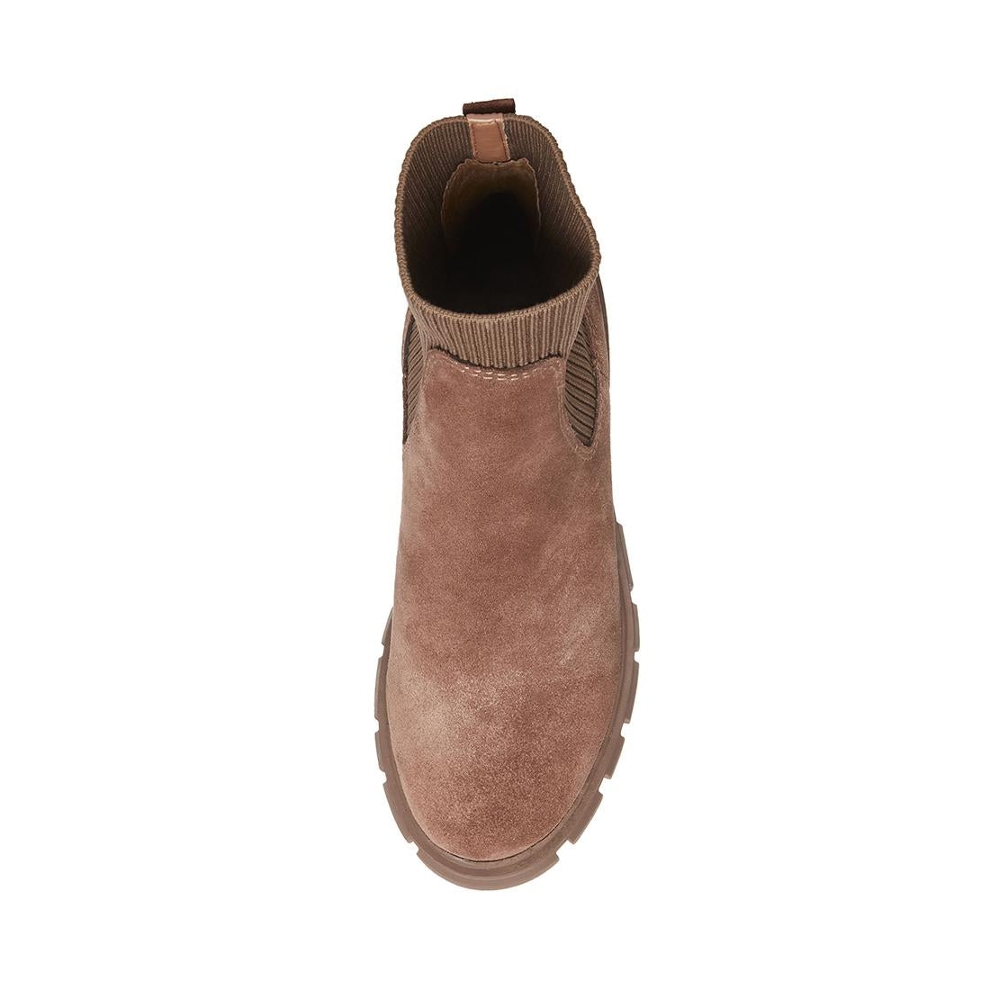 Hutch Taupe Suede - Stivaletti Donna Marroni SMSHUTCH-TAU  STEVE MADDEN 