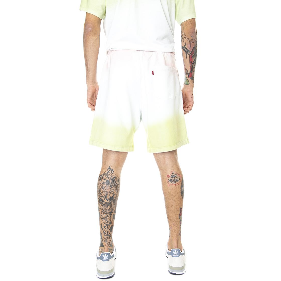  A1062-0008  LEVIS 