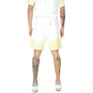  A1062-0008  LEVIS 