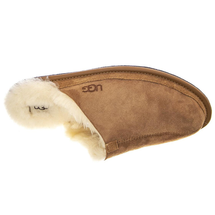 HYDE CHESTNUT - Pantofole Uomo Marroni UGMHYDECHE1123660M . UGG 
